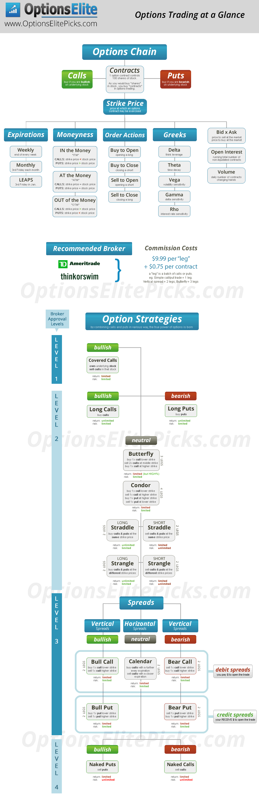 Options Trading Infographic | Learn the Stock Market